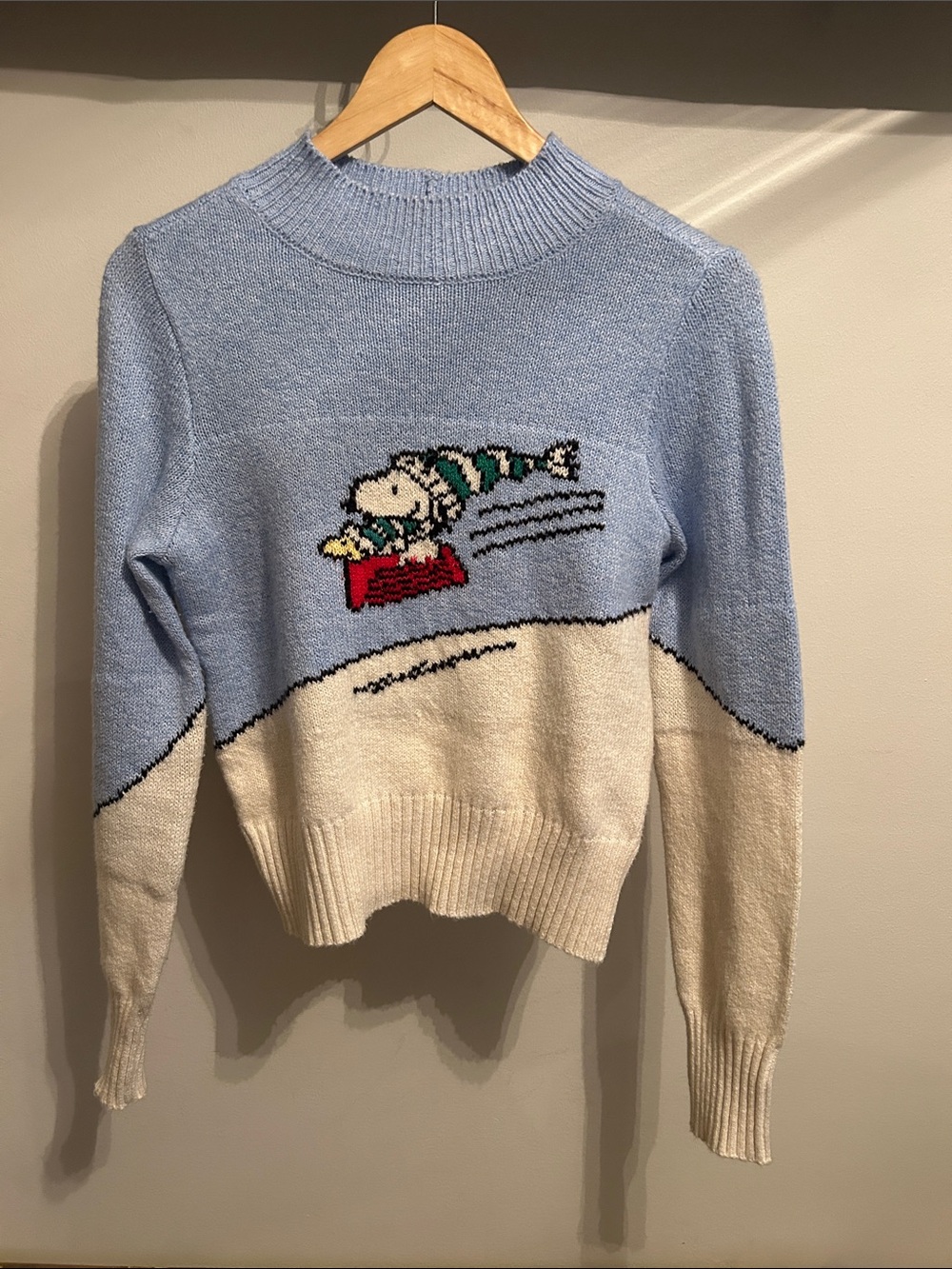 American Eagle Light Blue & Cream Sweater with Skiing Snoopy and Woodstock